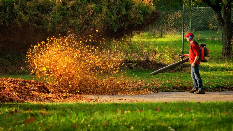 Fall Lawn Equipment