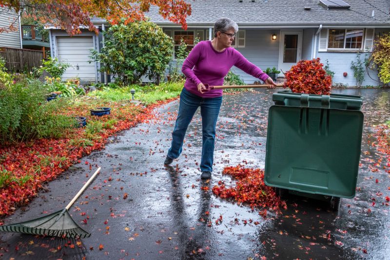 Yard Waste Disposal