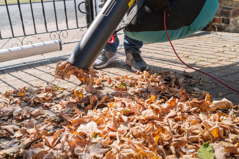 Leaf Blowing for Quick Cleanup