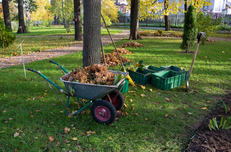Green Space Tidying