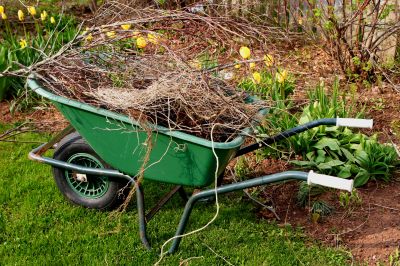 Mulched Garden Bed